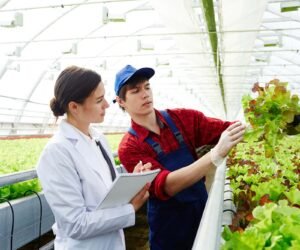 soluciones agrícolas